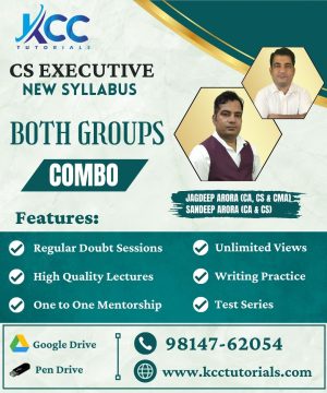 CS Executive Best Both Groups Combo Video Lectures Classes